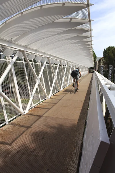 Radfahren auf der Brücke — Stockfoto