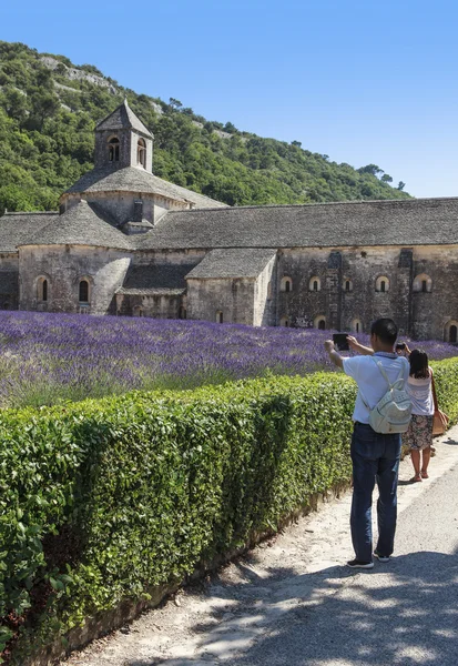 Abbaye de Senanque —  Fotos de Stock