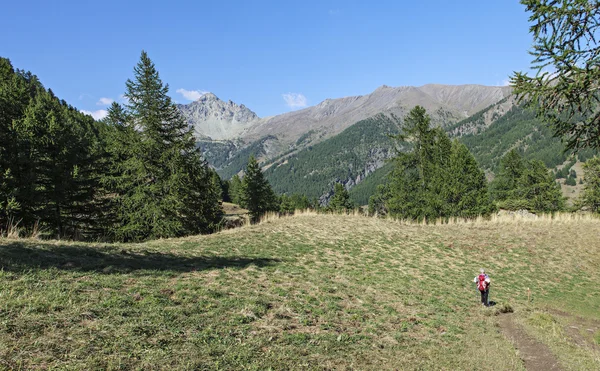 Camminare sulle Alpi — Foto Stock