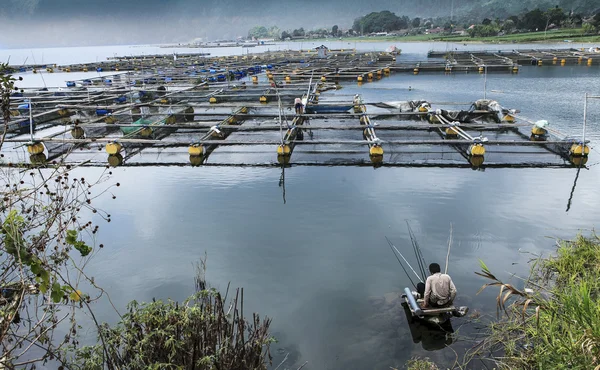 Pescador — Foto de Stock