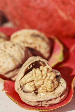 quelques noix sur feuille rouge