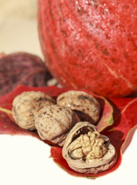 quelques noix sur feuille rouge