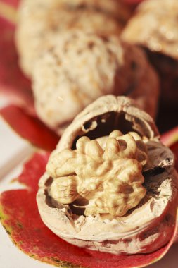 quelques noix sur feuille rouge