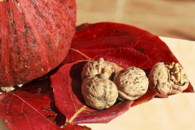 quelques noix sur feuille rouge