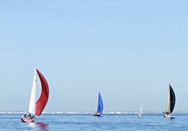 Yelkenli yarış