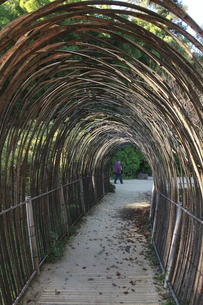 Bambusy tunel a cesta — Stock fotografie