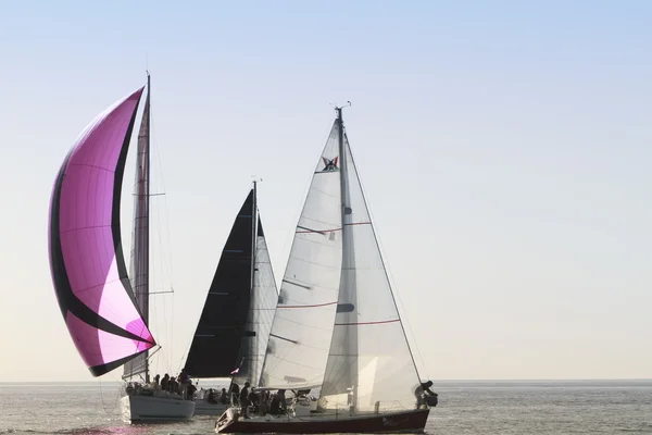 Race of sailboats — Stock Photo, Image
