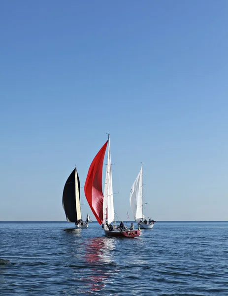 Ras av segelbåtar — Stockfoto