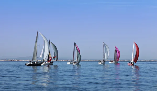 Race of sailboats — Stock Photo, Image