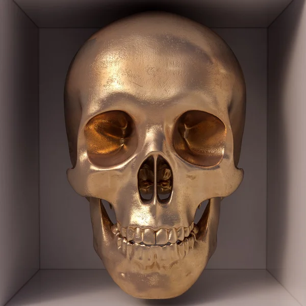 Cráneo dorado vista frontal — Foto de Stock