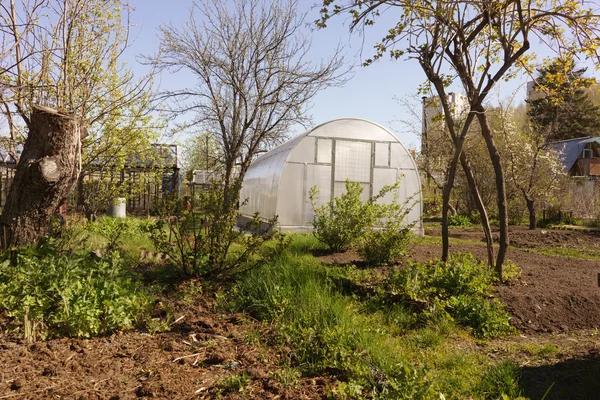 Invernadero en jardín — Foto de Stock