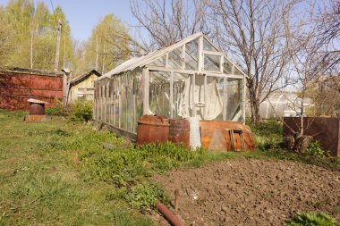 Temmuz ayında sebze bahçesi