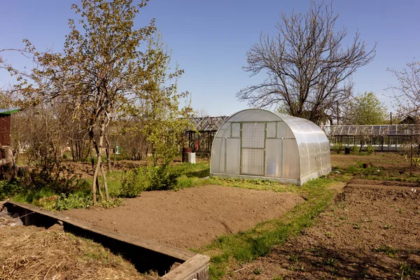 Gemüsegarten im Juli — Stockfoto