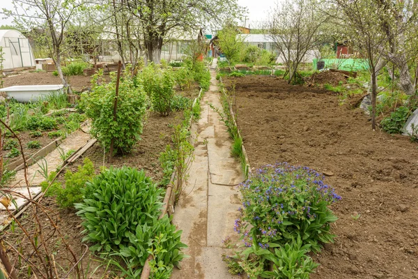 Schrebergartenweg — Stockfoto