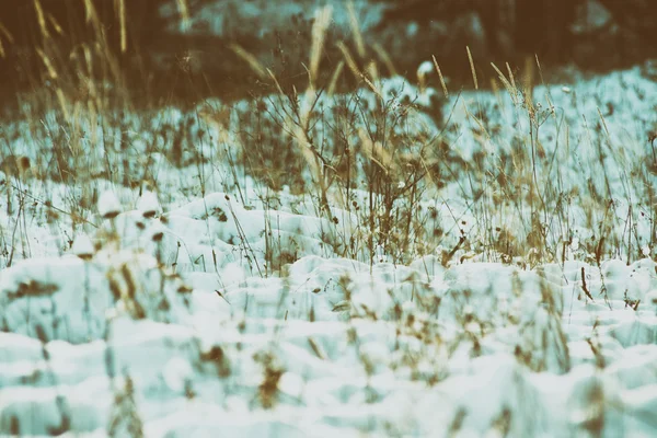 Winter scene/ retro filter — Stock Photo, Image