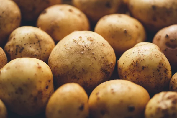 Fresh potato tubers — Stock Photo, Image