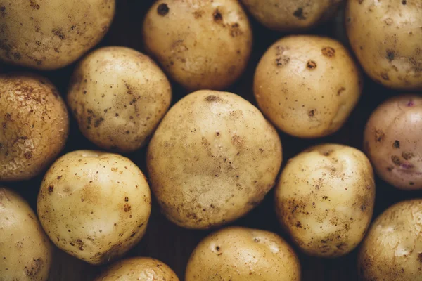 Fresh potato tubers — Stock Photo, Image