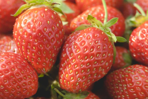 Garden strawberries close-up — Stock Photo, Image