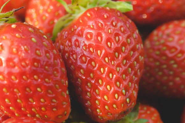 Garten-Erdbeeren aus nächster Nähe — Stockfoto