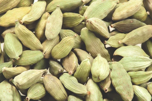 Grön kardemumma pods — Stockfoto