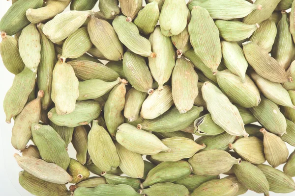 Grön kardemumma pods — Stockfoto