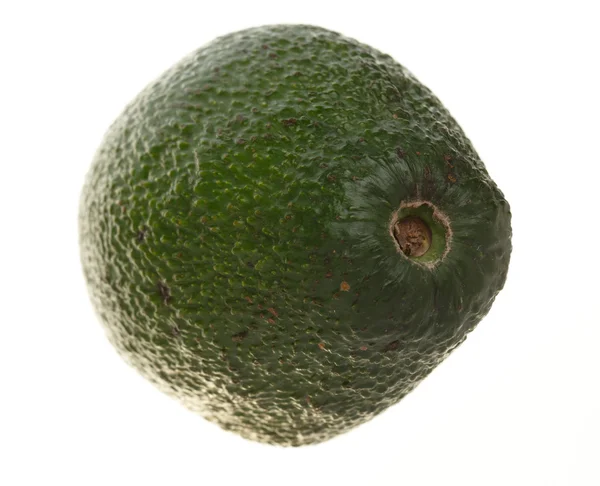 Авокадо ізольовано на білому — стокове фото