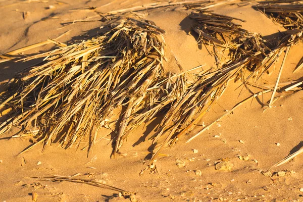 Sivatagi homok mintás textúra — Stock Fotó