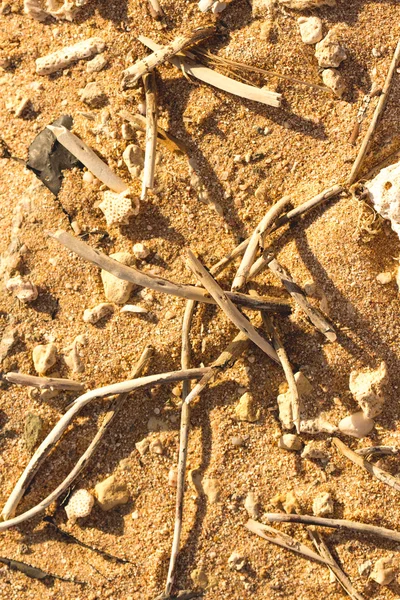 Struttura del modello di sabbia del deserto — Foto Stock