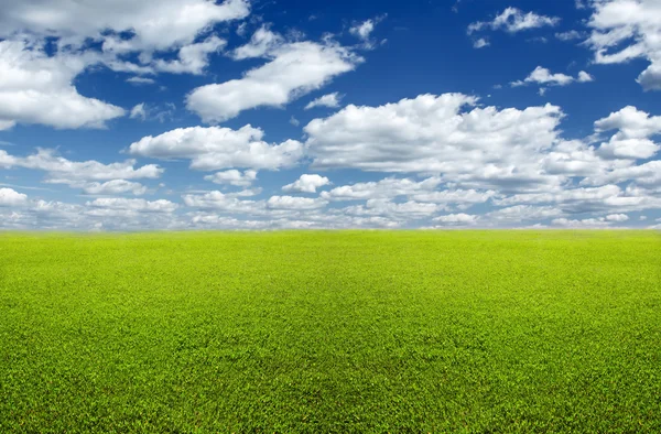 Campo verde e céu — Fotografia de Stock