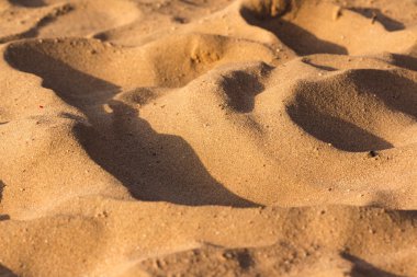 Desert sand texture clipart