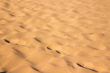 Desert sand texture clipart