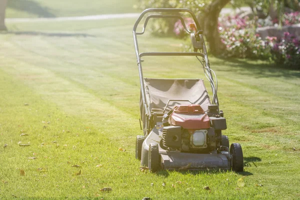 Modern gasoline lawn mower — Stock Photo, Image