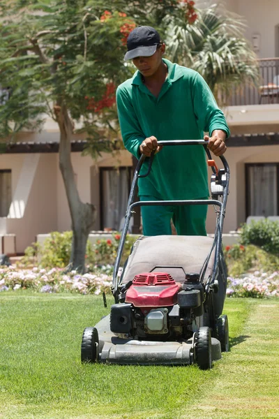 Erkek bahçıvan kesme çim çim biçme makinesi ile — Stok fotoğraf