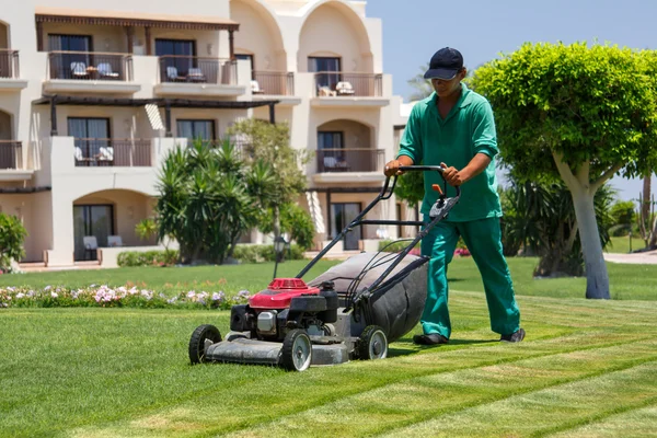 Mannelijke tuinman snijden gras met grasmaaier Rechtenvrije Stockfoto's