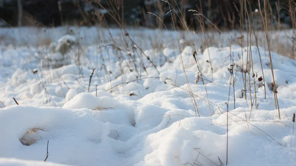 Escena de invierno. Paisaje invierno — Foto de Stock