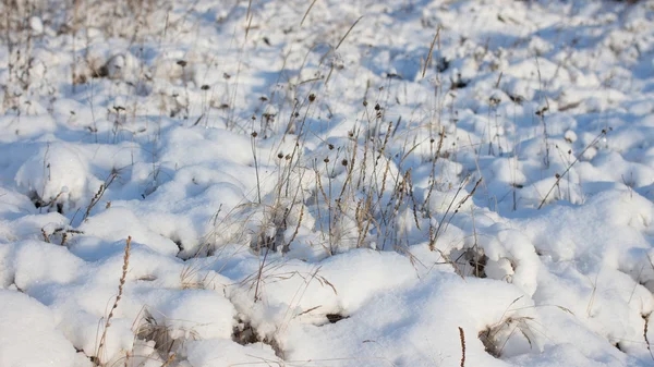 Vinter scen. Vinterlandskap — Stockfoto