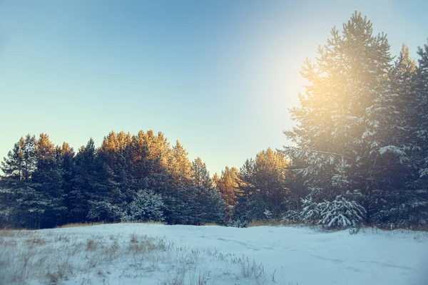 Paesaggio invernale. Scena invernale — Foto Stock