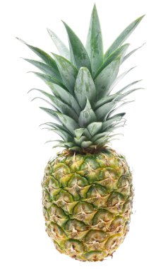 Tropical pineapple isolated clipart