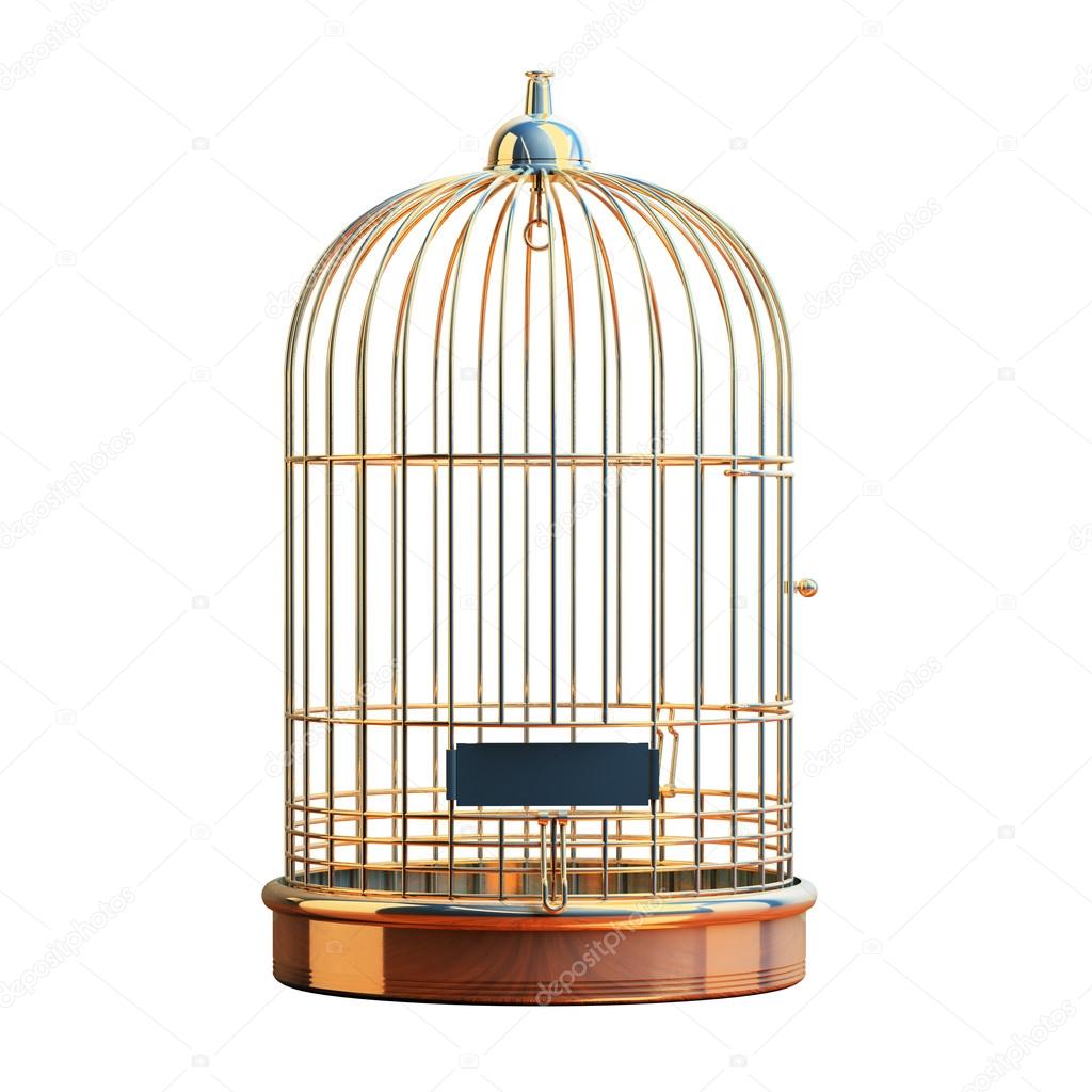 Empty gilded cage isolated