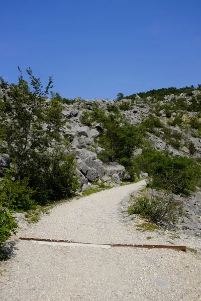 Την αλπική ίχνος — Φωτογραφία Αρχείου