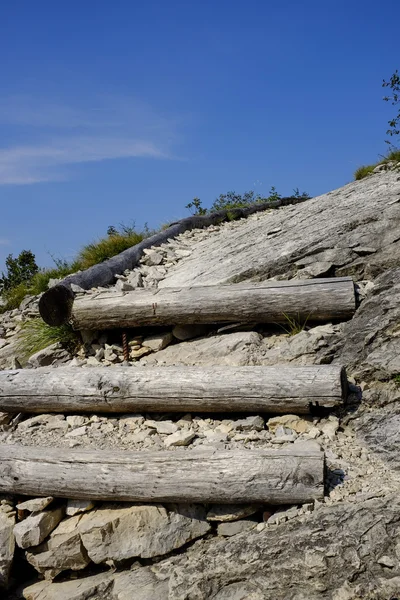 Il Sentiero Alpino — Foto Stock