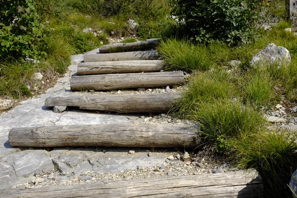 Felsen auf dem Weg — Stockfoto