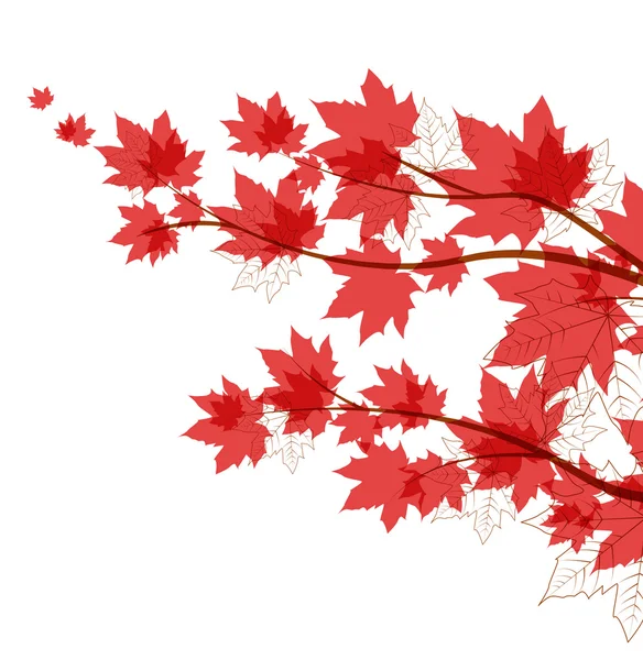 Vector hojas de otoño — Vector de stock