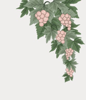 Kırmızı üzümlerin doğal arkaplanı.