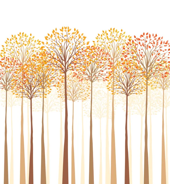 Podzimní stromy — Stockový vektor