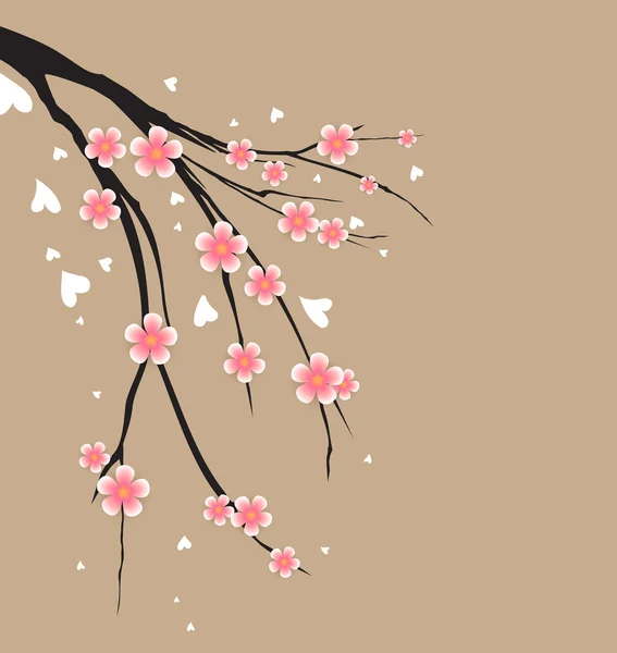 Sakura — Stok Vektör