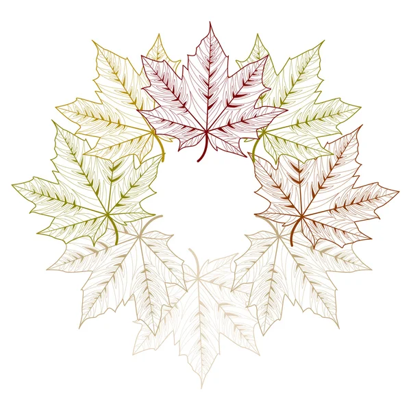 Akçaağaç yaprakları — Stok Vektör