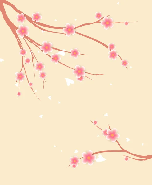 Sakura. —  Vetores de Stock