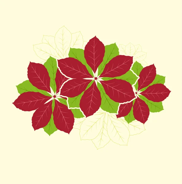 Poinsettia λουλούδι — Διανυσματικό Αρχείο