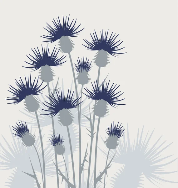 Thistles in the meadow — Stock Vector
